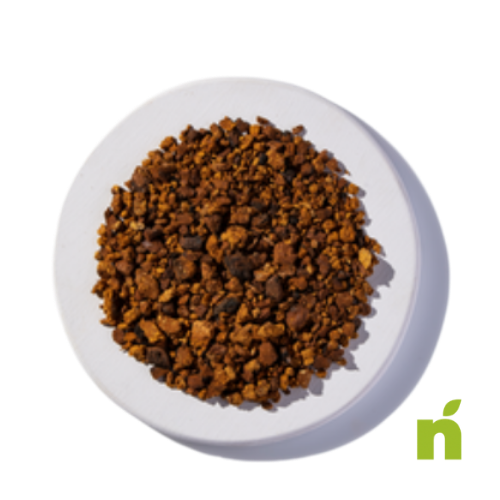 Chaga Mushroom